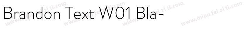 Brandon Text W01 Bla字体转换